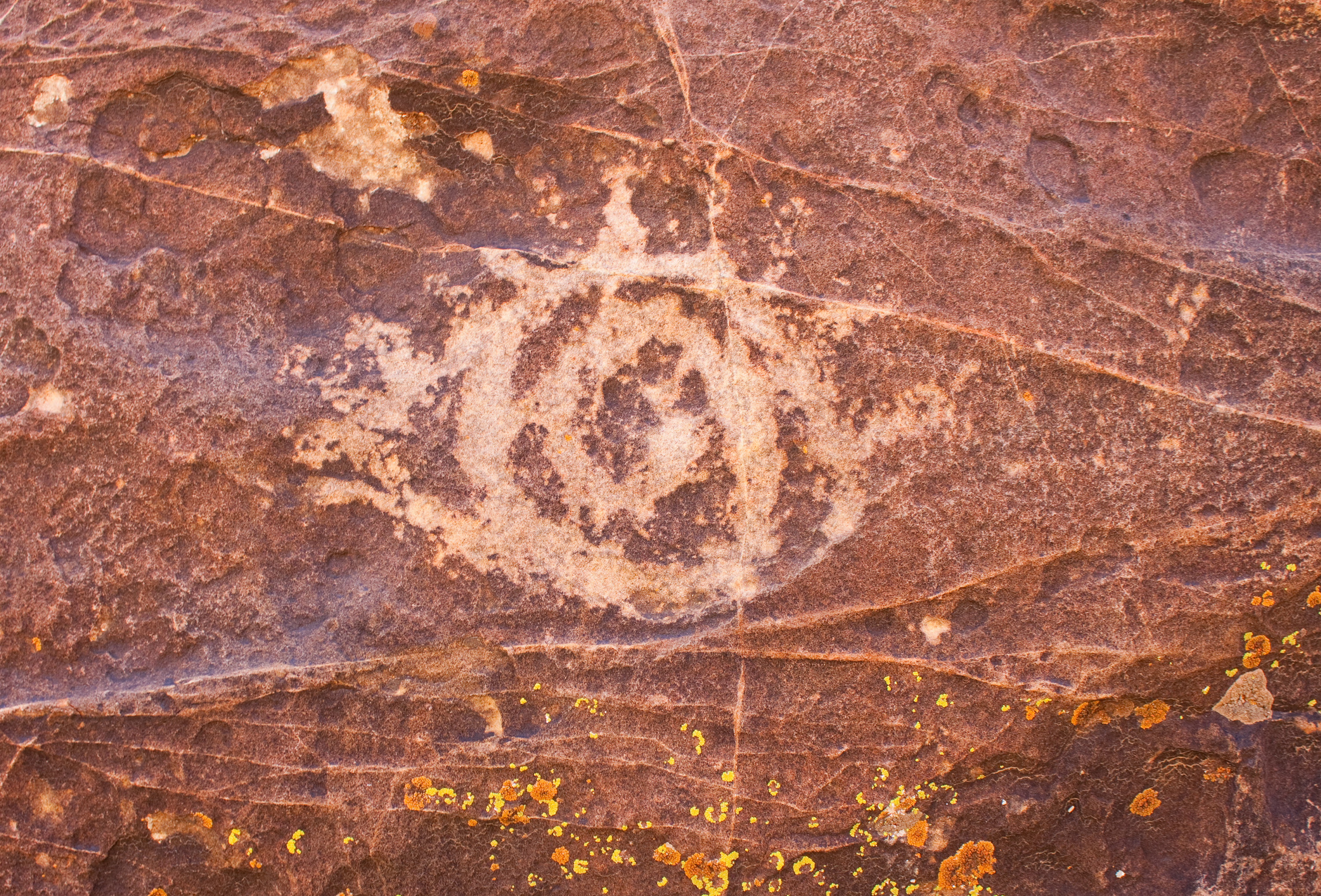 STONE photo 2